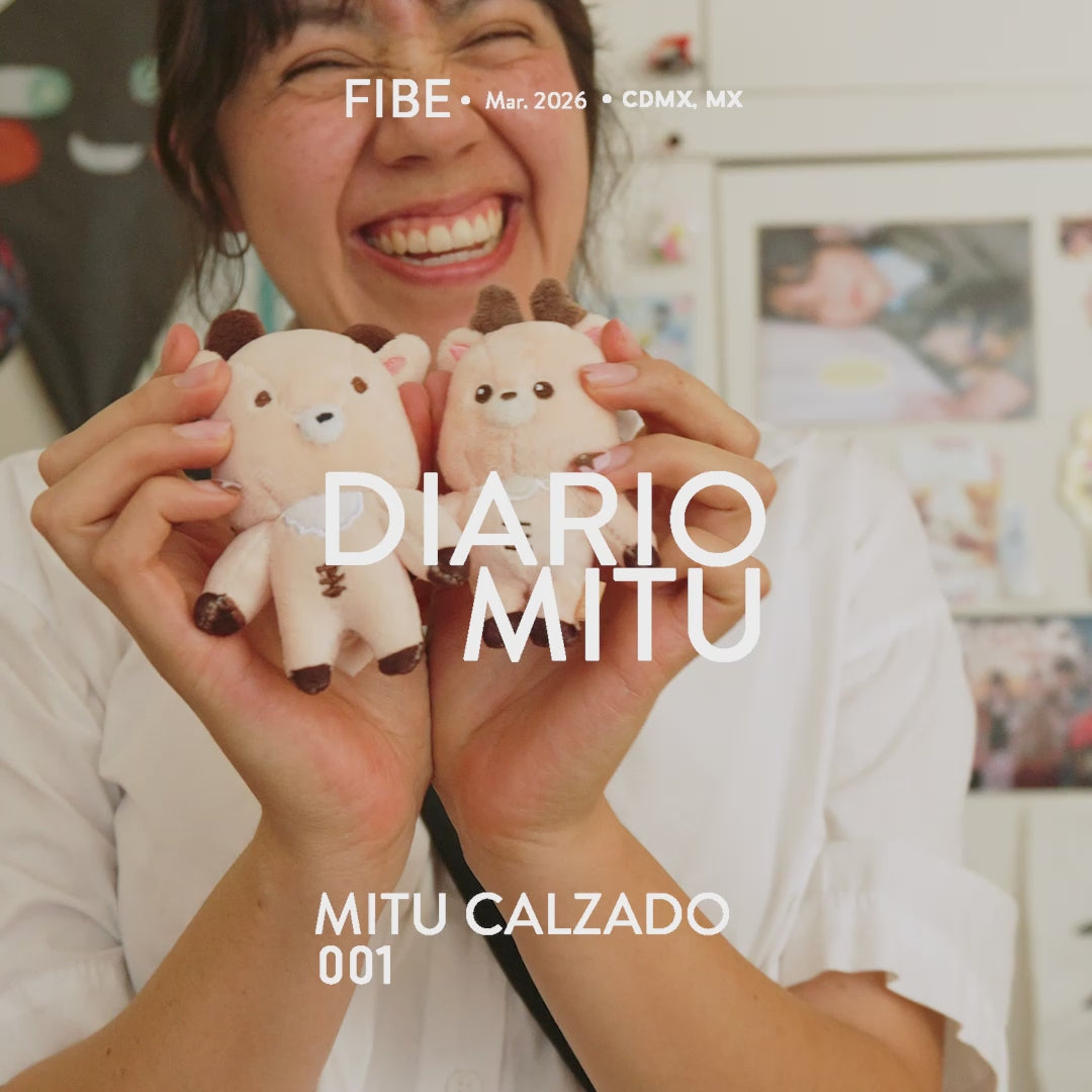 Cargar video: 